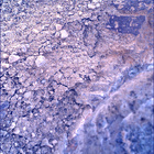 SIF_1637_0812262462_867EBY_N0790732SRLC00761_0000LMJ