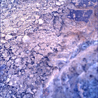SIF_1637_0812262464_632EBY_N0790732SRLC00761_0000LMJ