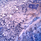 SIF_1637_0812262466_398EBY_N0790732SRLC00761_0000LMJ