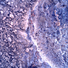 SIF_1637_0812262639_570EBY_N0790732SRLC00761_0000LMJ