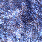 SIF_1644_0812898992_460EBY_N0790870SRLC00663_0000LMJ