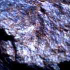 SIF_1644_0812899403_207EBY_N0790870SRLC00481_0000LMJ