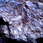 SIF_1644_0812899405_000EBY_N0790870SRLC00481_0000LMJ