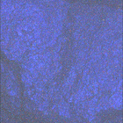 SIF_1644_0812920976_925EBY_N0790870SRLC08062_0000LMJ