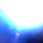 NLF_1648_0813234316_237ECM_N0791382NCAM00501_01_295J