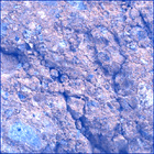 SIF_1649_0813332274_230EBY_N0791382SRLC08049_0000LMJ