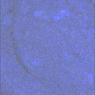 SIF_1649_0813356571_199EBY_N0791382SRLC08061_0000LMJ