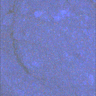 SIF_1649_0813356611_367EBY_N0791382SRLC08061_0000LMJ