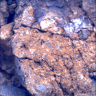 SIF_1650_0813416136_699EBY_N0791382SRLC00654_0000LMJ