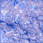 SIF_1650_0813416273_750EBY_N0791382SRLC00654_0000LMJ