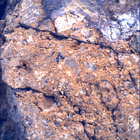 SIF_1650_0813416499_164EBY_N0791382SRLC00478_0000LMJ