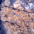 SIF_1650_0813416501_125EBY_N0791382SRLC00478_0000LMJ