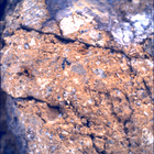 SIF_1650_0813416505_046EBY_N0791382SRLC00478_0000LMJ