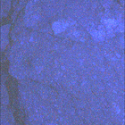 SIF_1653_0813721663_726EBY_N0791382SRLC08062_0000LMJ