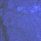 SIF_1653_0813721703_808EBY_N0791382SRLC08062_0000LMJ