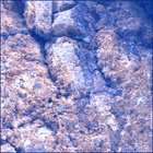 SIF_1660_0814309126_425EBY_N0791382SRLC00478_0000LMJ