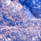SIF_1660_0814309311_226EBY_N0791382SRLC00478_0000LMJ