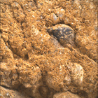SIF_1660_0814309323_652EBY_N0791382SRLC00478_0000LMJ