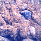 SIF_1660_0814309341_742EBY_N0791382SRLC00478_0000LMJ