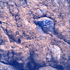 SIF_1660_0814309349_460EBY_N0791382SRLC00478_0000LMJ