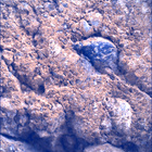 SIF_1660_0814309351_390EBY_N0791382SRLC00478_0000LMJ