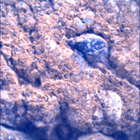 SIF_1660_0814309355_250EBY_N0791382SRLC00478_0000LMJ