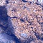SIF_1660_0814309535_164EBY_N0791382SRLC00478_0000LMJ