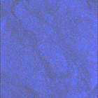 SIF_1663_0814600964_621EBY_N0791762SRLC08061_0000LMJ