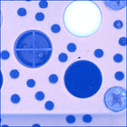 SIF_1664_0814673513_949EBY_N0791762SRLC07031_0000LMJ