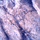 SIF_1667_0814925255_937EBY_N0791762SRLC00654_0000LMJ