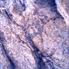 SIF_1667_0814925266_554EBY_N0791762SRLC00654_0000LMJ