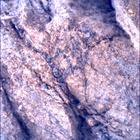 SIF_1667_0814925268_324EBY_N0791762SRLC00654_0000LMJ