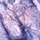 SIF_1667_0814925436_109EBY_N0791762SRLC00654_0000LMJ