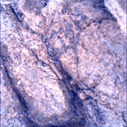 SIF_1667_0814925437_878EBY_N0791762SRLC00654_0000LMJ