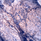 SIF_1667_0814925636_941EBY_N0791762SRLC00472_0000LMJ