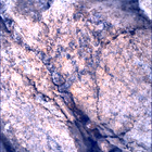 SIF_1667_0814925638_863EBY_N0791762SRLC00472_0000LMJ