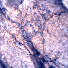 SIF_1667_0814925640_785EBY_N0791762SRLC00472_0000LMJ