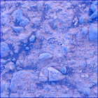 SIF_1671_0815279361_503EBY_N0800000SRLC02500_0000LMJ