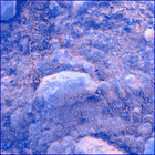 SIF_1671_0815279676_441EBY_N0800000SRLC00730_0000LMJ