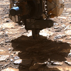 FLF_1678_0815911775_066ECM_N0802956FHAZ00215_04_075J