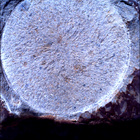 SIF_1678_0815914228_292EBY_N0802956SRLC01022_0000LMJ