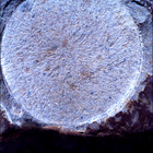 SIF_1678_0815914233_871EBY_N0802956SRLC01022_0000LMJ