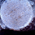 SIF_1678_0815914235_265EBY_N0802956SRLC01022_0000LMJ