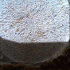 SIF_1678_0815914559_785EBY_N0802956SRLC00734_0000LMJ