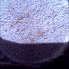 SIF_1678_0815914588_242EBY_N0802956SRLC00734_0000LMJ