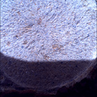 SIF_1678_0815914589_718EBY_N0802956SRLC00734_0000LMJ