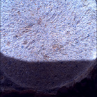 SIF_1678_0815914592_671EBY_N0802956SRLC00734_0000LMJ
