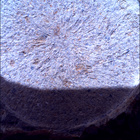 SIF_1678_0815914595_625EBY_N0802956SRLC00734_0000LMJ