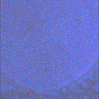 SIF_1678_0815930201_480EBY_N0802956SRLC08061_0000LMJ