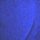 SIF_1682_0816296075_464EBY_N0802956SRLC08060_0000LMJ